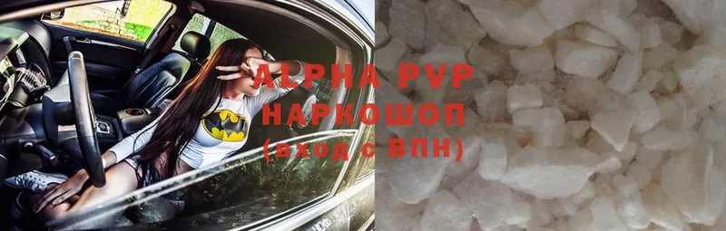 Alfa_PVP СК  Пошехонье 