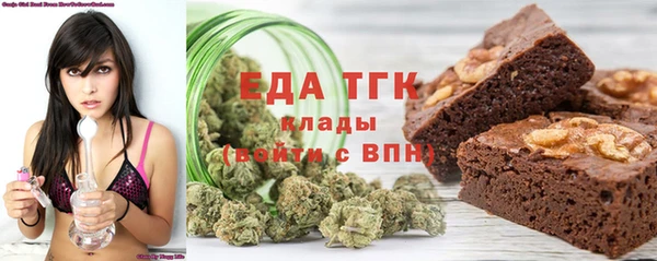 индика Богданович